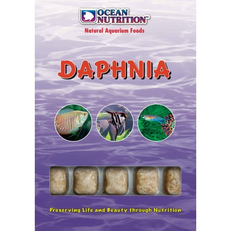 Ocean nutrition daphnies lot de 10 plaquettes 23,40 €