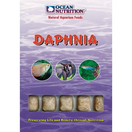 Ocean nutrition daphnies lot de 10 plaquettes 