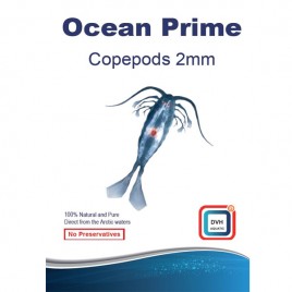 Ocean Prime Codepods 2mm 12,90 €