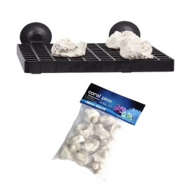 Aqua Medic frag board + Coral Pins 10pcs 29,95 €