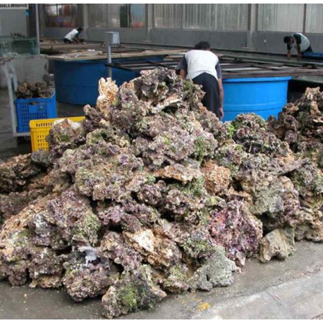 100kg de pierres vivantes d'Aquaculture d'Indonésie 999,00 €