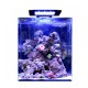 Blue marine Reef 60 aquarium + 24.90€ en bon d'achats coraux,poissons 