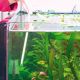 JBL Blanki Set lave-vitre d’aquarium anti-rayures avec manche 15,20 €