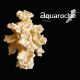 Aquaroches recif cache 9305 h25cm 86,90 €