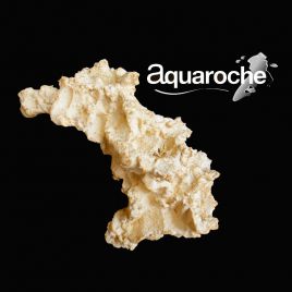 Aquaroches Arche 2028 