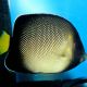 Apolemichthys Xanthurus 3-4 cm 39,50 €