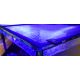 Filet de protection RedSea pour aquarium de 90cm 68,99 €