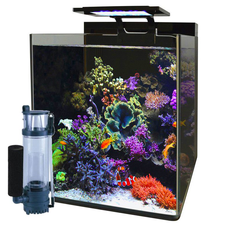 Blue marine Reef 60 aquarium + 24.90€ en bon d'achats coraux,poissons