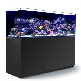  Reefer™ XXL 750 Noir DELUXE (Aqua + mbl + éclairage) 