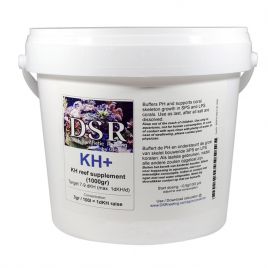 DSR KH+ 1100 gr