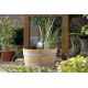 Oase Filtral UVC 1500 Oase Oase Filtres immergés  99,95 € -10%