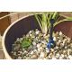 Oase Filtral UVC 3000 Oase Oase Filtres immergés  139,95 € -10%