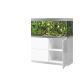 Oase aquarium HighLine Optiwhite 300 blanc (aquarium & meuble) + bon d'achats 10% plantes et poissons 1 549,00 €