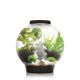 Oase biOrb aquarium CLASSIC 30 LED noir 178,95 €