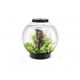 Oase biOrb aquarium CLASSIC 30 LED noir 178,95 €