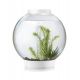 Oase biOrb aquarium CLASSIC 30 LED blanc 178,95 €
