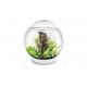 Oase biOrb aquarium CLASSIC 30 LED blanc 178,95 €