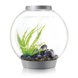 Oase biOrb aquarium CLASSIC 60 LED argent 276,95 €