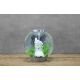 Oase biOrb aquarium CLASSIC 60 LED argent 