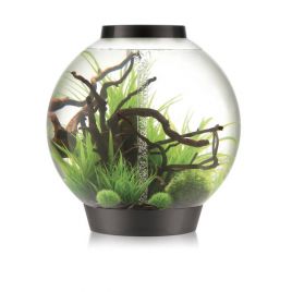 Oase biOrb aquarium CLASSIC 105 MCR noir 504,95 €