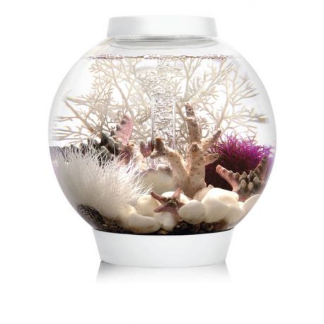 Oase biOrb aquarium CLASSIC 15 MCR blanc 146,95 €