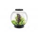 Oase biOrb aquarium CLASSIC 30 MCR noir 216,95 €