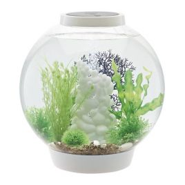 Oase biOrb aquarium CLASSIC 30 MCR blanc
