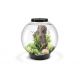 Oase biOrb aquarium CLASSIC 60 MCR noir 324,95 €