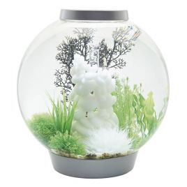 Oase biOrb aquarium CLASSIC 60 MCR argent 