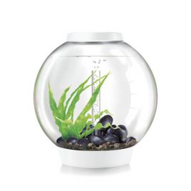 Oase biOrb aquarium CLASSIC 60 MCR blanc 324,95 €