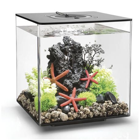 Oase aquarium biOrb CUBE 30 LED MCR noir 282,95 €