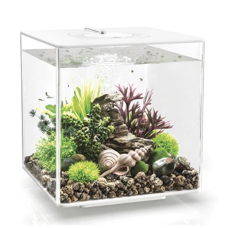 Oase aquarium biOrb CUBE 30 LED MCR blanc 282,95 €