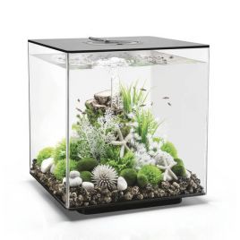 Oase aquarium biOrb CUBE 60 LED MCR noir 379,95 €