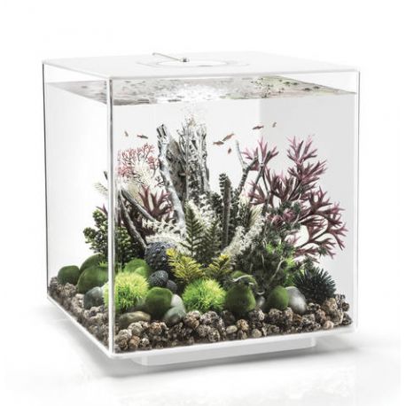 Oase aquarium biOrb CUBE 60 LED MCR blanc 379,95 €