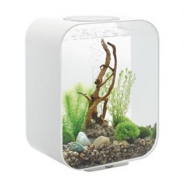 Oase aquarium biOrb LIFE 15 LED blanc