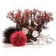 BiOrb Set de déco 15L Forêt rouge 