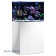 AquaMedic Armatus 250 Blanc aquarium d'eau de mer complet avec système de filtration + 107.90€ en bon d'achats de vivant