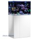 AquaMedic Armatus 250 Blanc aquarium d'eau de mer complet avec système de filtration + 107.90€ en bon d'achats de vivant 1 07...