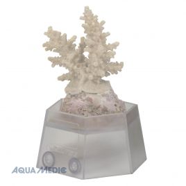 Aqua Medic Coral holder (Support pour coraux)