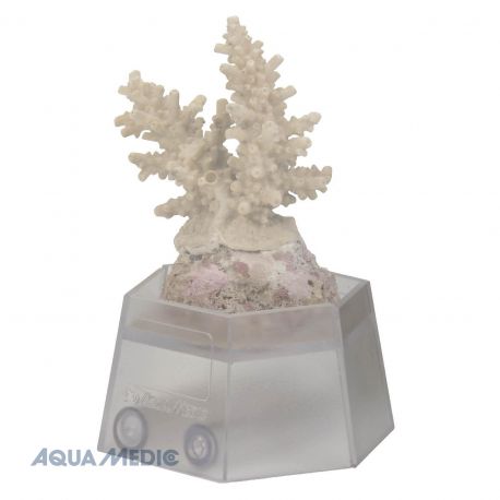 Aqua Medic Coral holder (Support pour coraux) 5,60 €