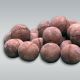 JBL FloraPond Boulettes de fertilisant pour plantes de bassin 8pcs 30mm 8,30 €