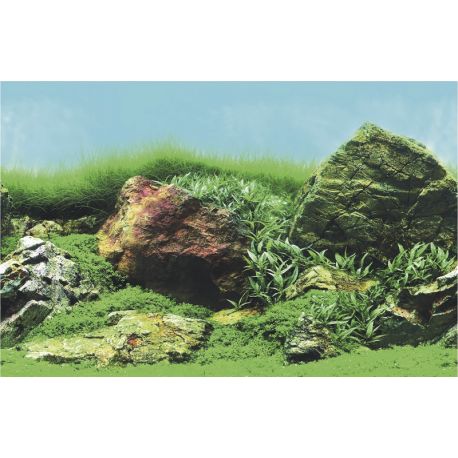 Superfish deco Poster C5 120x61cm 