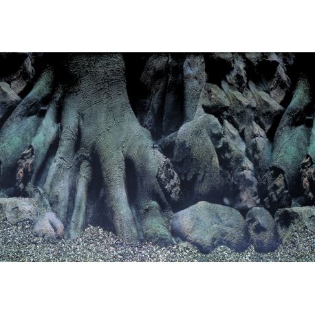 Superfish deco Poster D5 120x61cm 