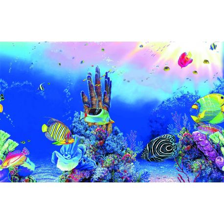 Superfish deco Poster F4 120x49cm 