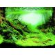 Superfish deco Poster C5 120x61cm 