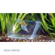 Aqua Medic trap-pest 29,90 €