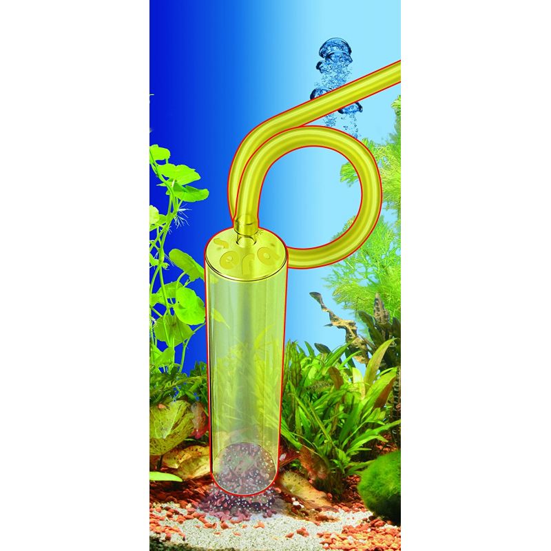 cloche nettoyage aquarium
