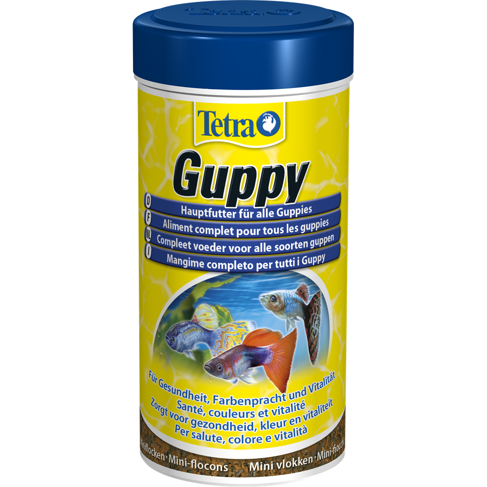 Aliment complet (granulés) pour guppy platy molly Neptus - 100 ml : Neptus  NEPTUS animalerie - botanic®