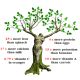 Dr.Bassleer Biofish Food gse/moringa XL 170gr 1.5mm: pour les poissons de 9 à 12cm 