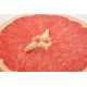 Dr.Bassleer Biofish Food gse/moringa XL 68gr 1.5mm: pour les poissons de 9 à 12cm  